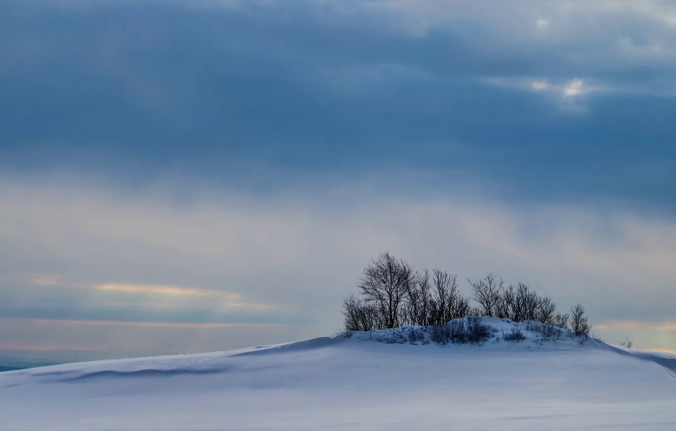 Фото обои зима, поле, небо, пейзаж