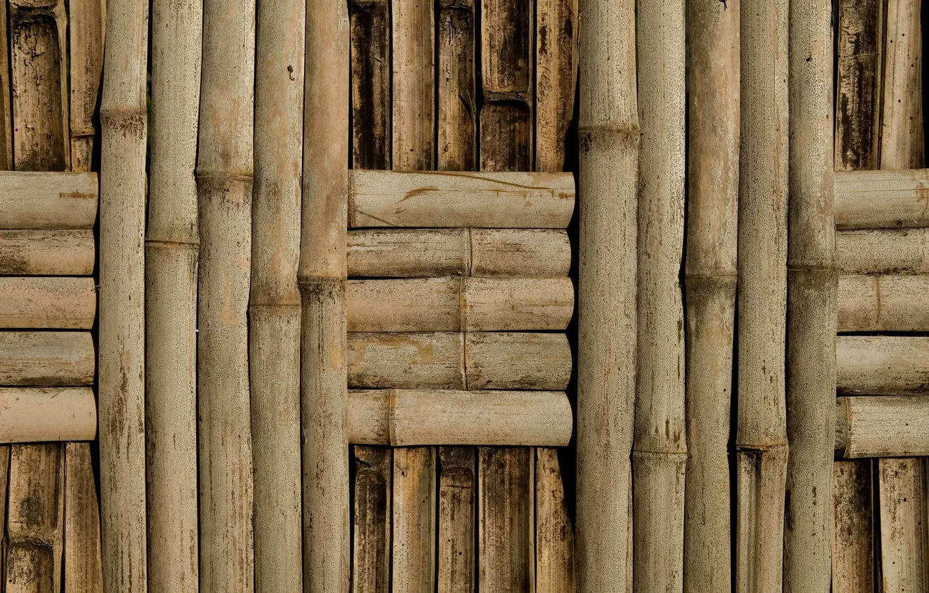 Фото обои стена, бамбук, плетение, фактура