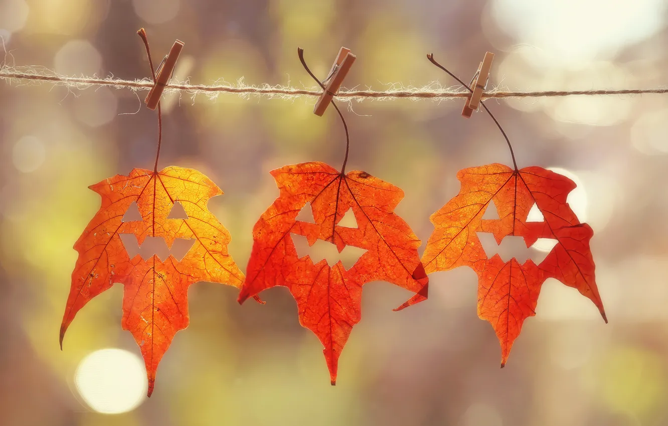 Фото обои осень, листья, хэллоуин