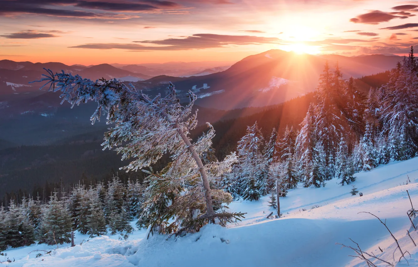 Фото обои зима, небо, солнце, облака, лучи, снег, пейзаж, закат