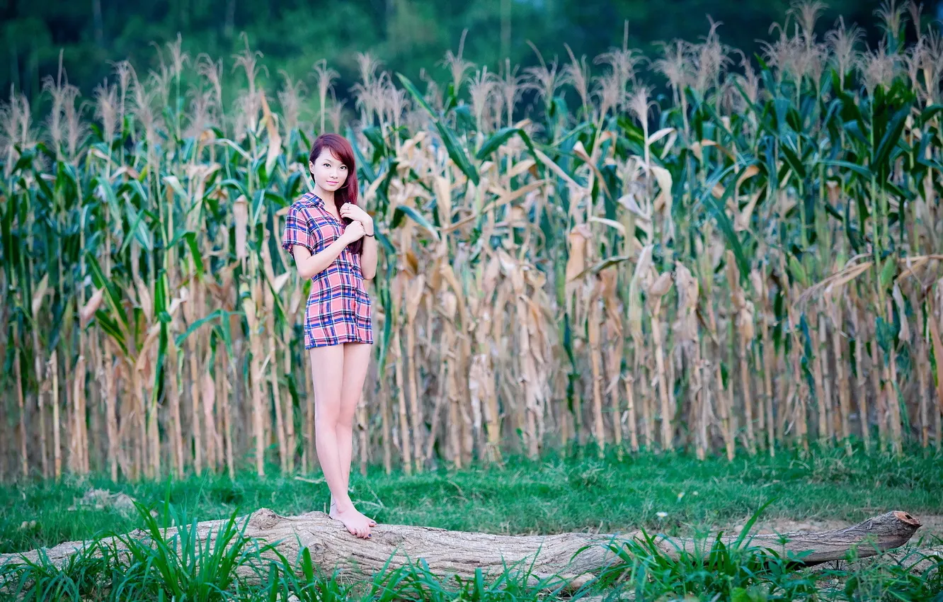 Фото обои девушка, кукуруза, азиатка