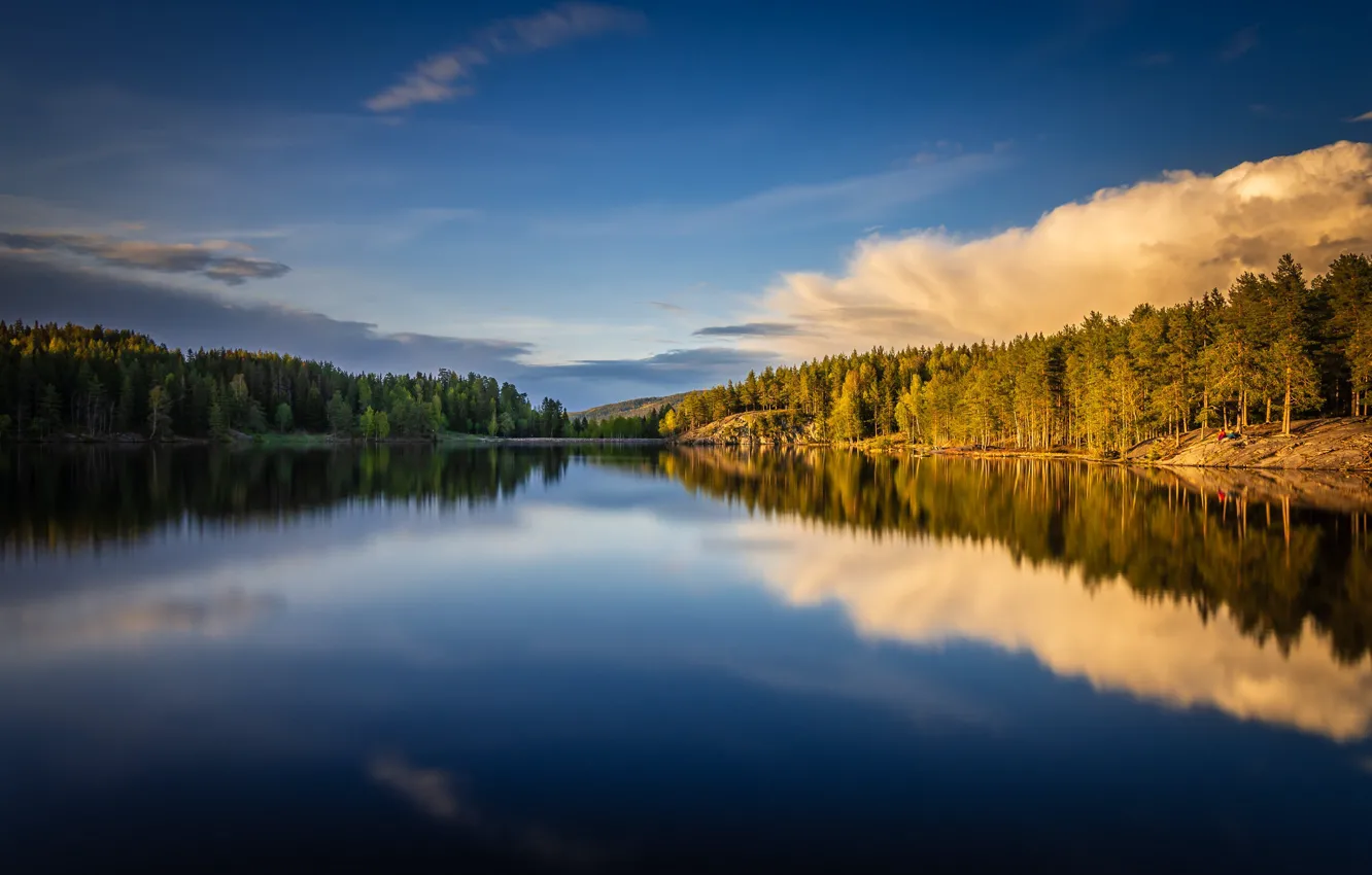 Фото обои лес, озеро, отражение, Норвегия, Norway, Берум, Bærum