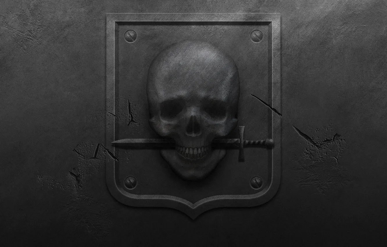 Фото обои металл, трещины, череп, черный фон, герб