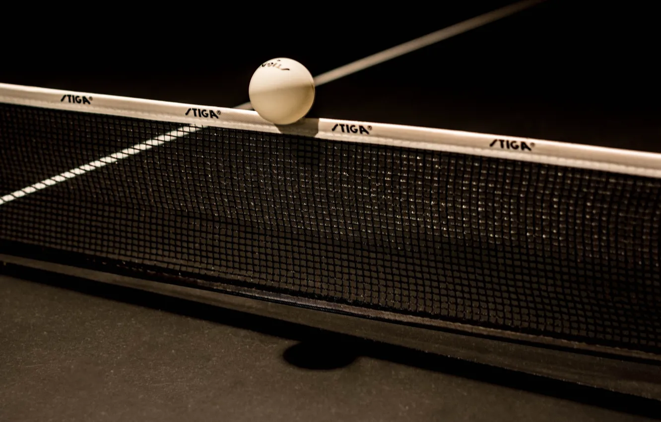 Фото обои сетка, мячик, пинг-понг, настольный теннис