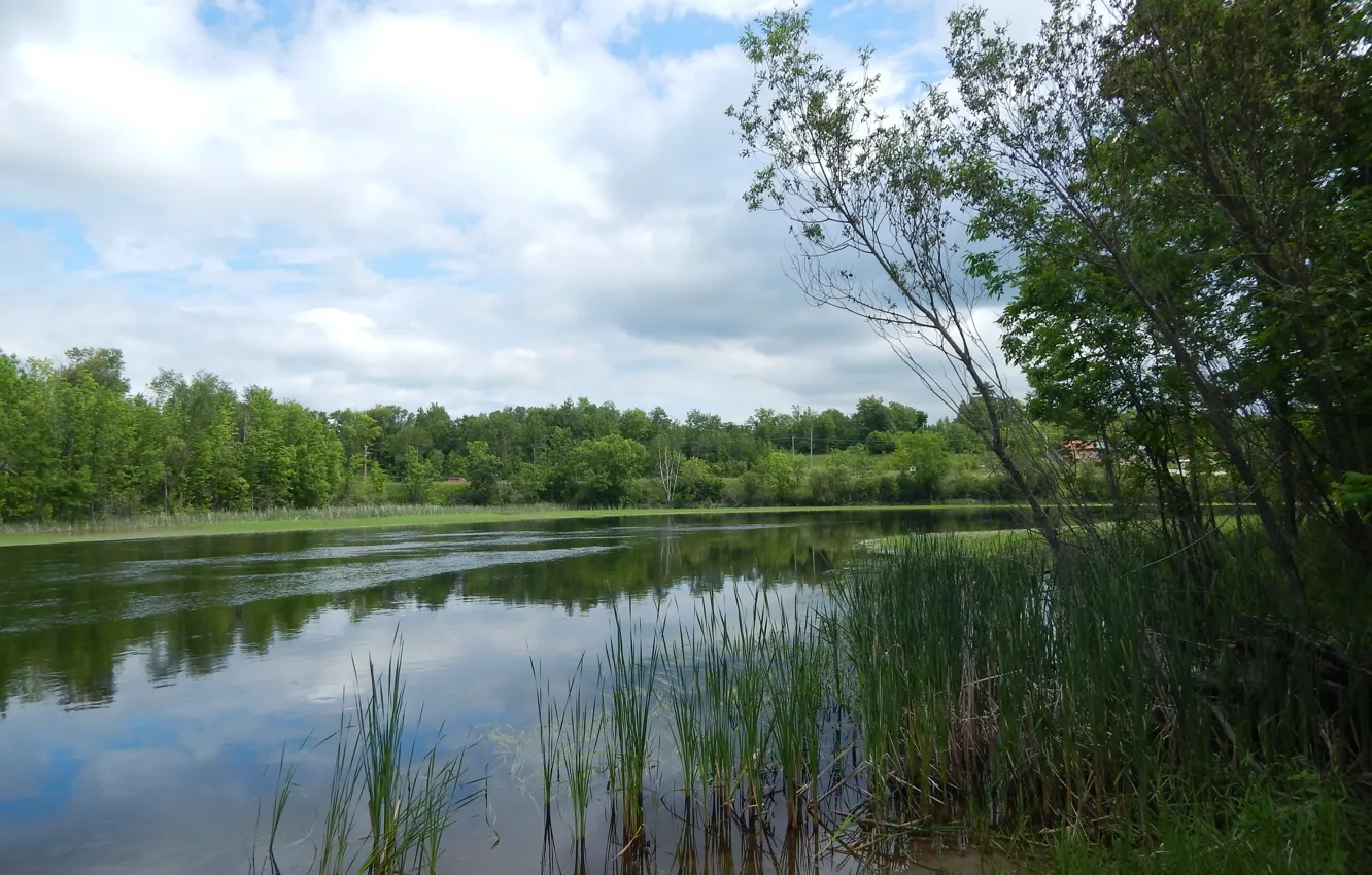 Фото обои зелень, отражения, природа, озеро, green, Nature, trees, lake