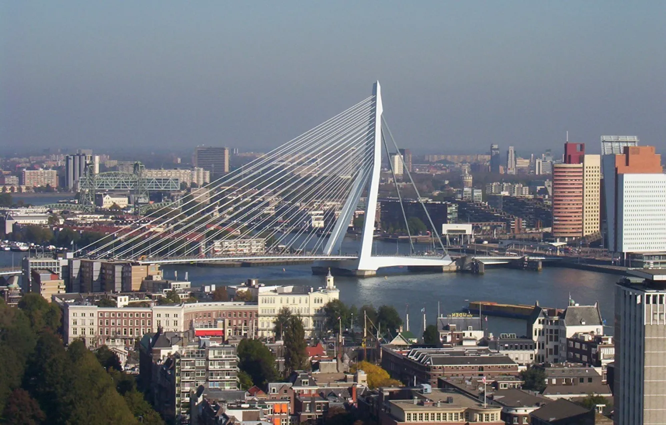 Фото обои city, rotterdam, the-netherlands