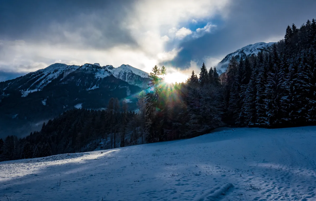 Фото обои зима, солнце, снег, горы, Австрия
