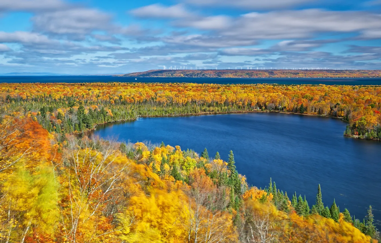 Фото обои осень, лес, деревья, озеро, Мичиган, США
