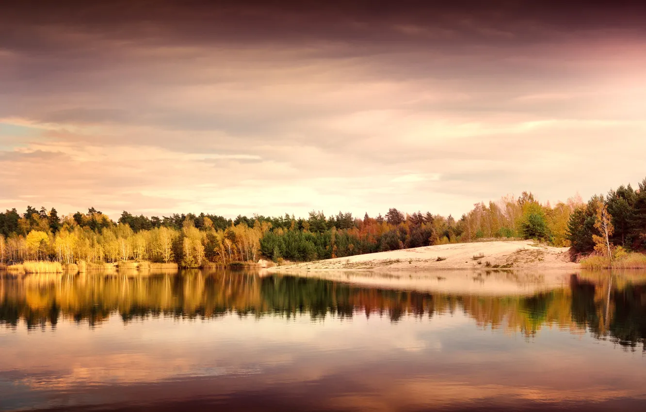 Фото обои осень, листья, деревья, пейзаж, природа, озеро, отражение, берег
