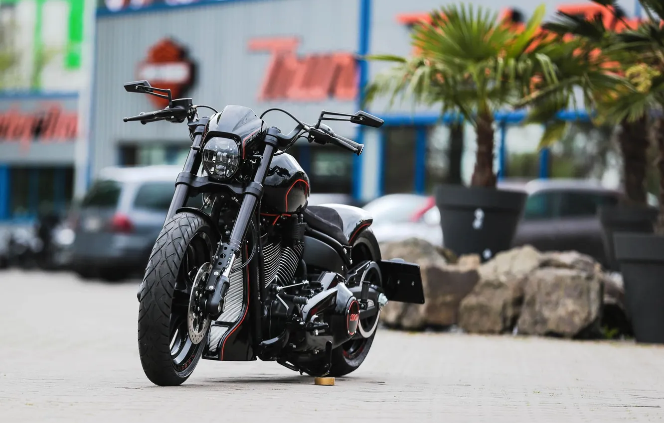 Фото обои мотоцикл, байк, harley davidson, thunderbike customs