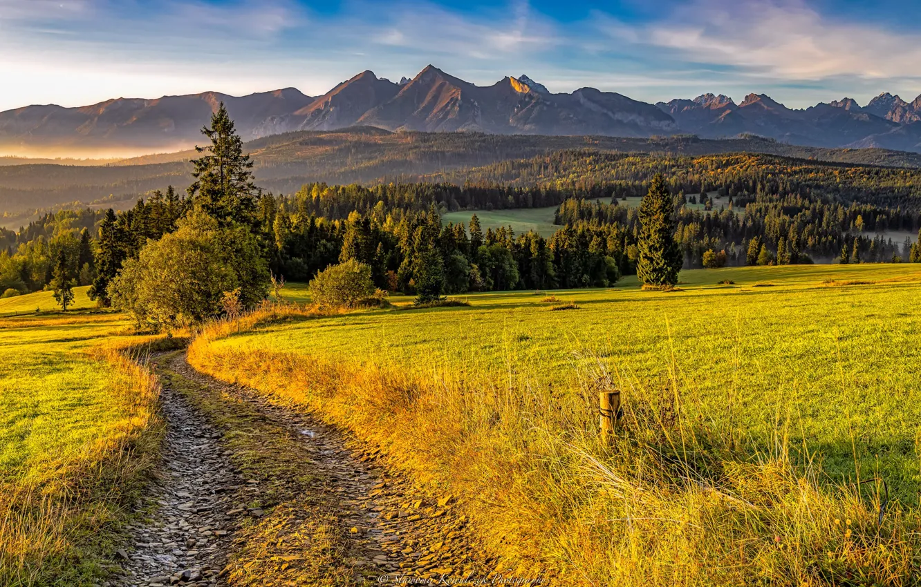 Фото обои дорога, осень, пейзаж, горы, природа, леса, луга, Татры