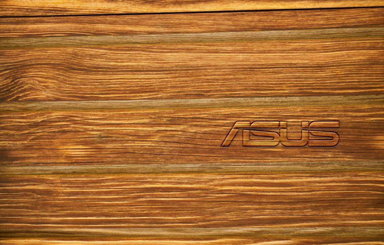 Фото обои дерево, надпись, Логотип, Logo, ASUS, Digital Art