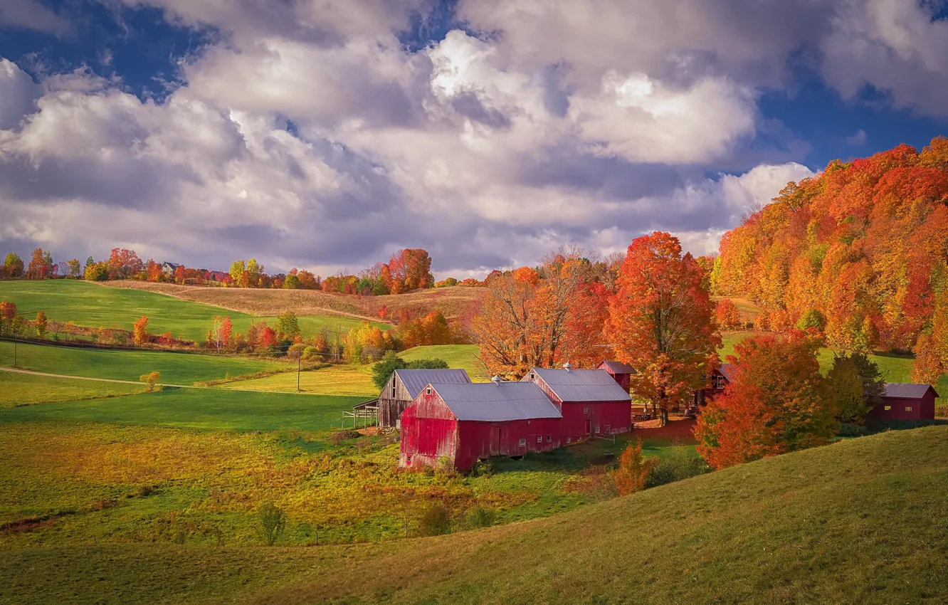 Фото обои осень, лес, облака, деревья, пейзаж, природа, дом, синева