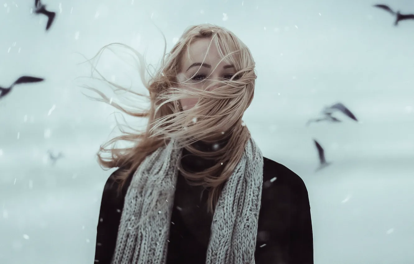Фото обои девушка, снег, птицы, волосы, Alexander Shark, щима