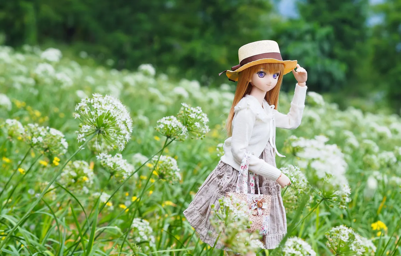 Фото обои цветы, природа, игрушка, шляпа, кукла, аниме, платье, сумка