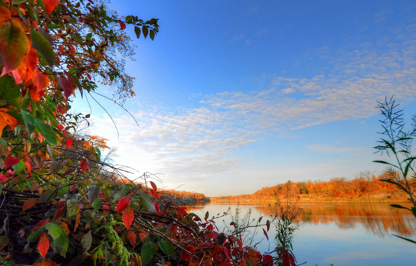 Фото обои осень, небо, листья, облака, деревья, река