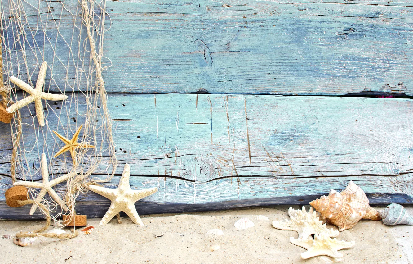 Фото обои песок, пляж, звезды, ракушки, beach, wood, sand, seashells