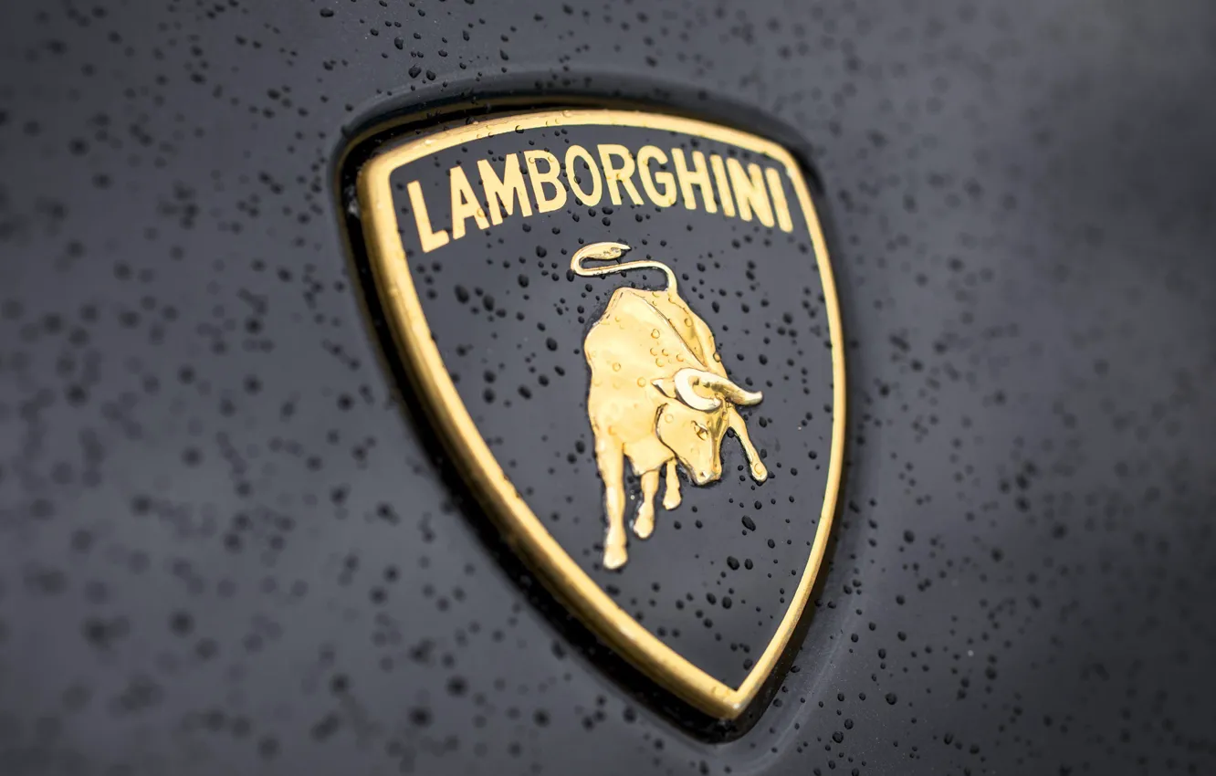 Фото обои капли, Lamborghini, лого, Ламборгини, бык