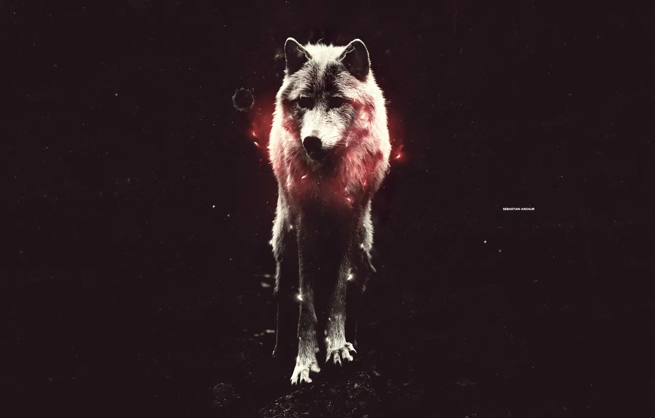 Фото обои свет, красный, волк, стоит