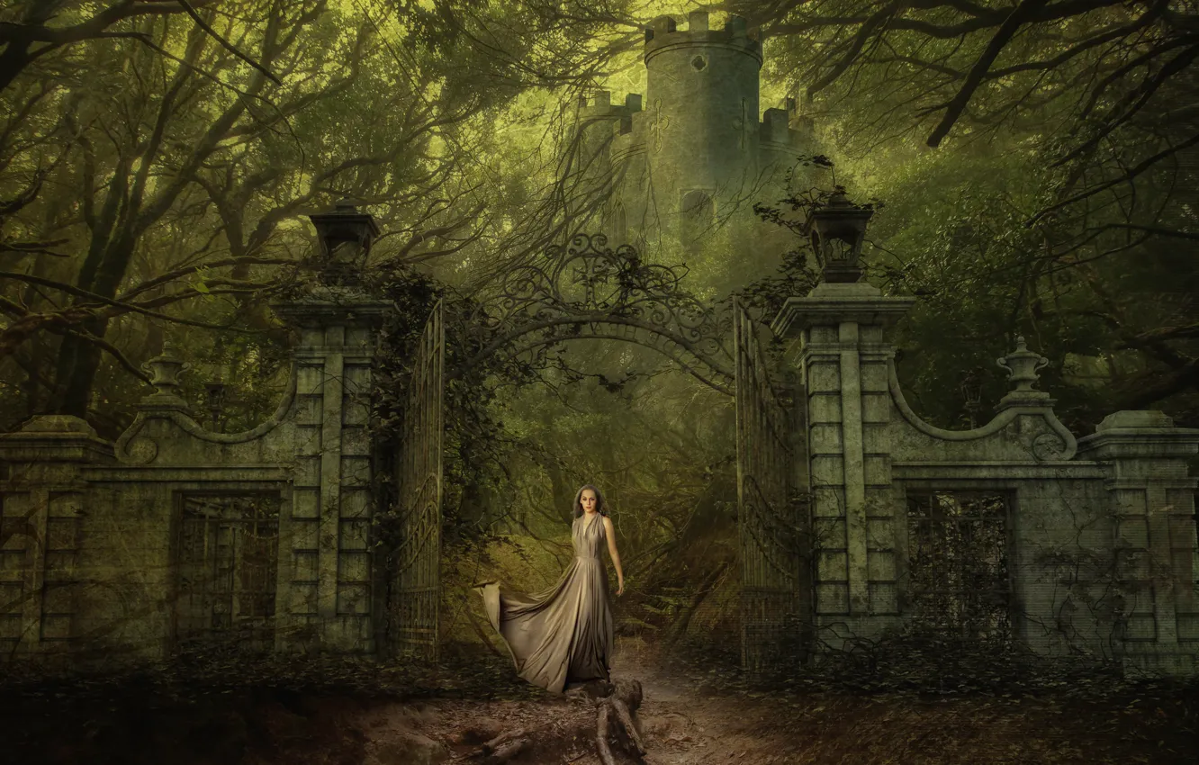 Фото обои девушка, деревья, ветки, старина, туман, ретро, рендеринг, замок