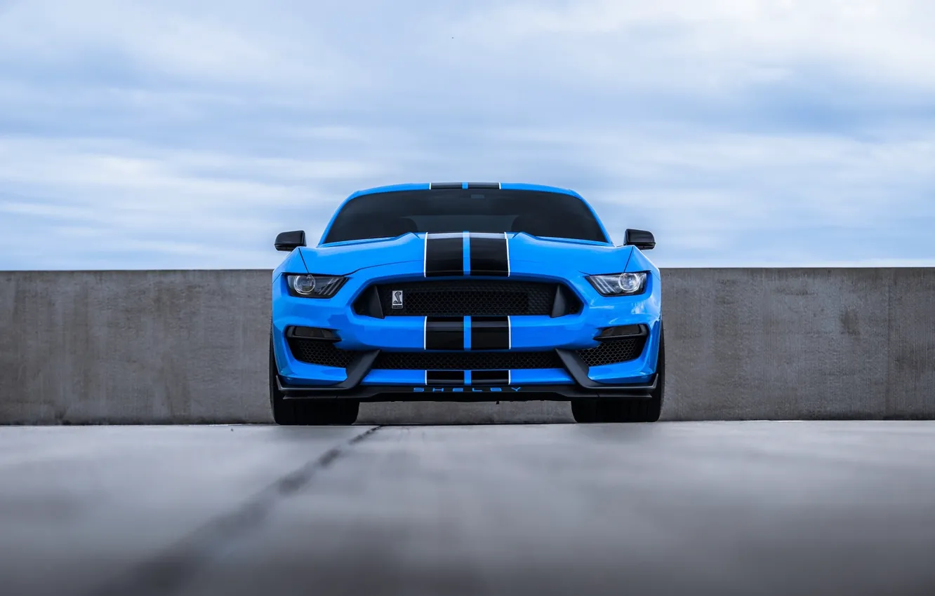 Фото обои Mustang, Ford, Blue, Front, Cobra, Face, Sight