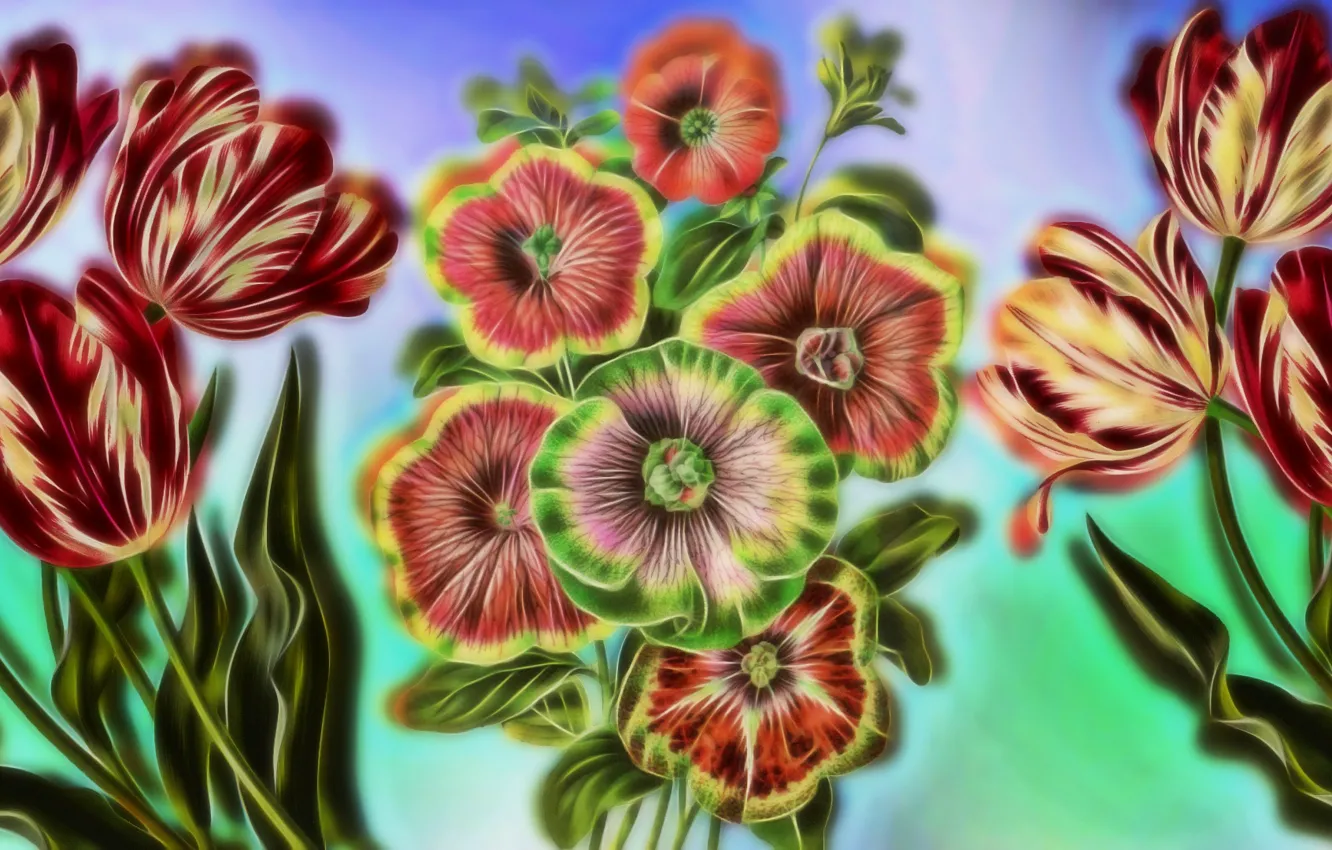 Фото обои Grafika, Tulipany, Kwiaty