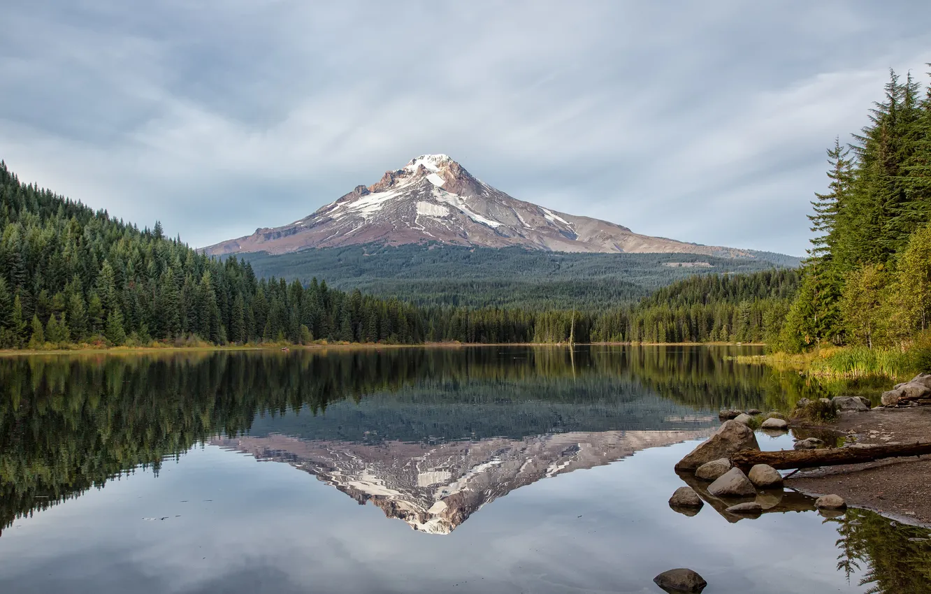 Фото обои лес, озеро, отражение, гора, Oregon, Trillium Lake