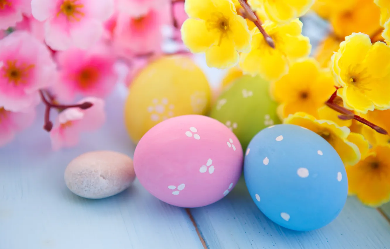 Фото обои цветы, яйца, Пасха, flowers, spring, Easter, eggs
