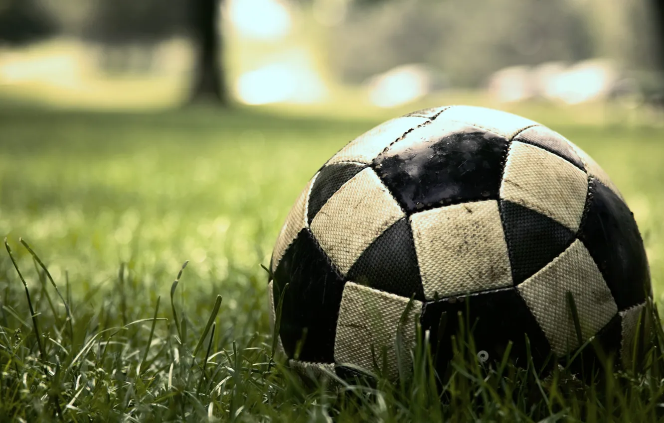 Фото обои трава, макро, газон, футбол, игра, мяч, sport, game