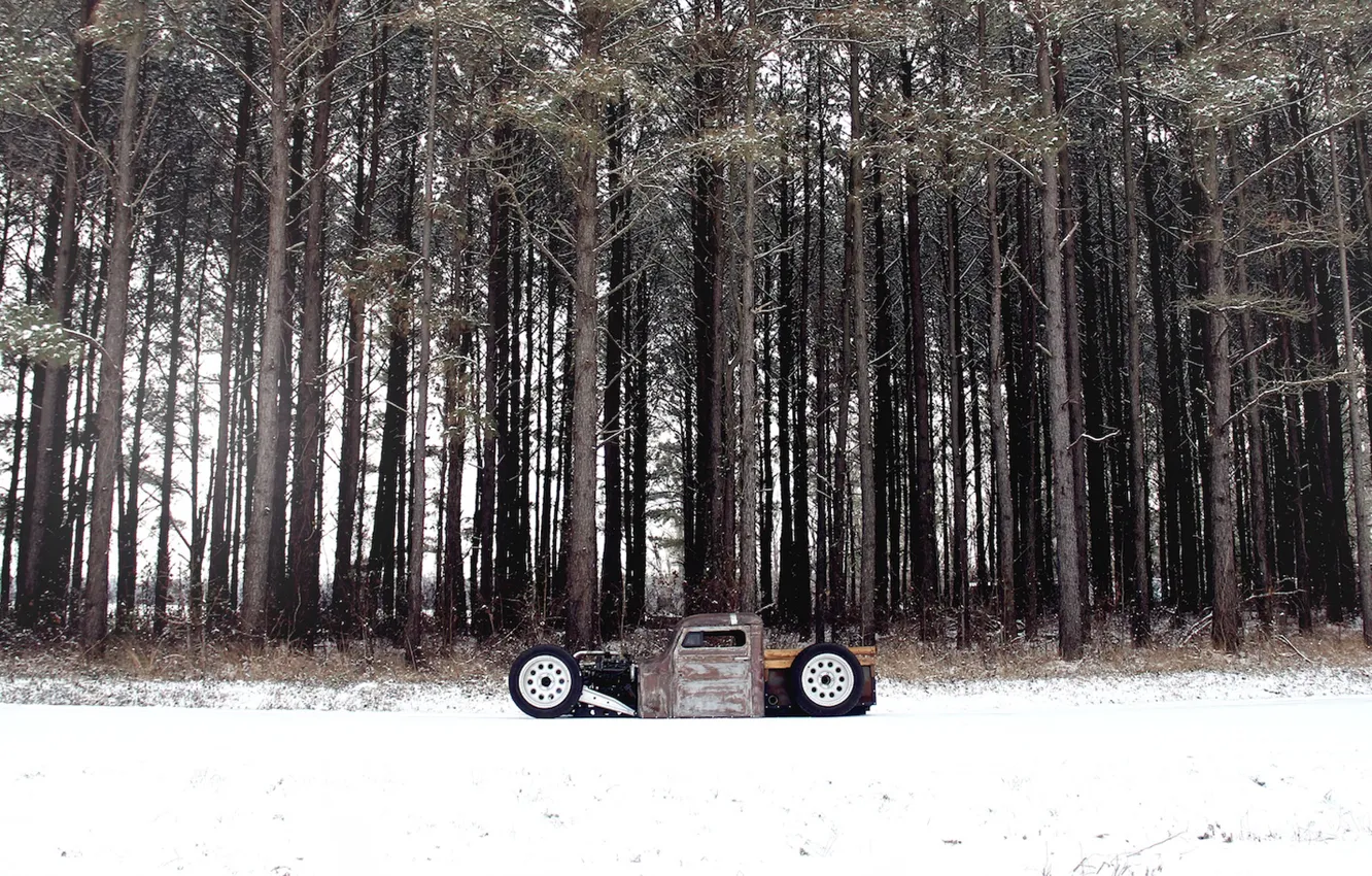 Фото обои лес, снег, volkswagen, forest, фольксваген, snow, rat, род