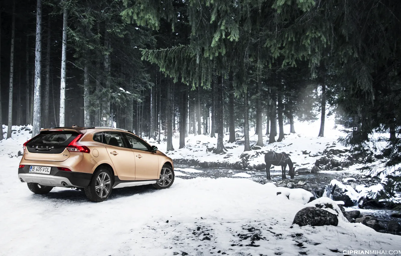 Фото обои лес, снег, ручей, лошадь, Volvo, Volvo V40 Cross County