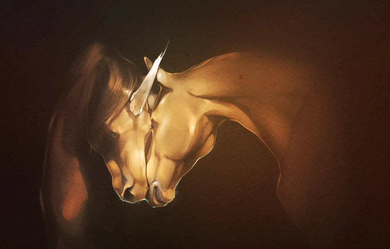 Фото обои конь, арт, Единорог, рог