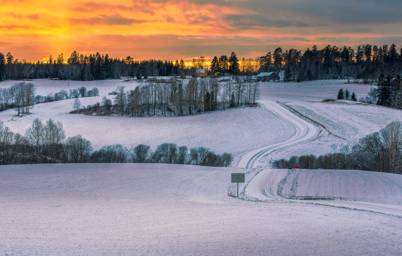 Фото обои зима, дорога, поле, снег