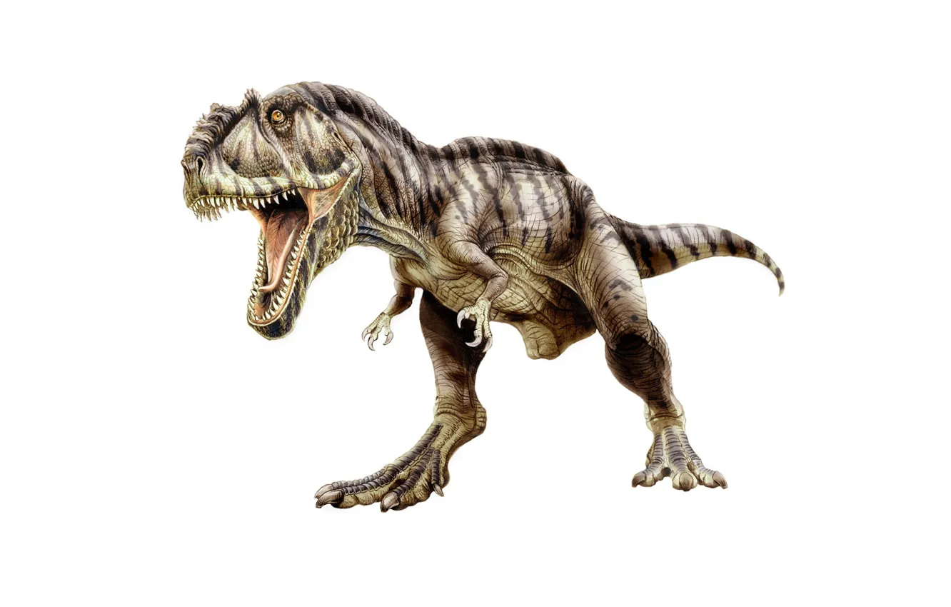 Фото обои динозавр, хищник, пасть, хвост, клыки