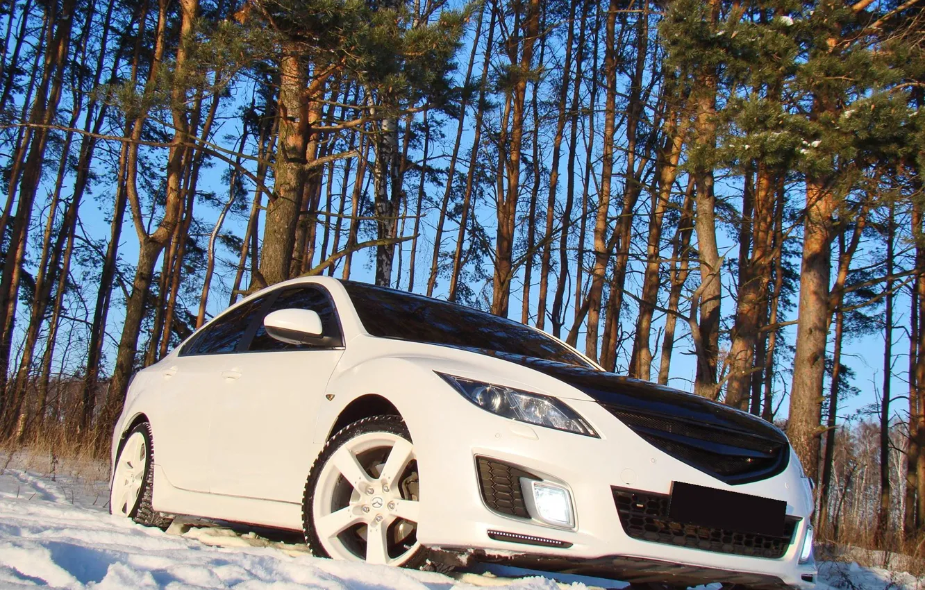 Фото обои снег, деревья, Mazda 6