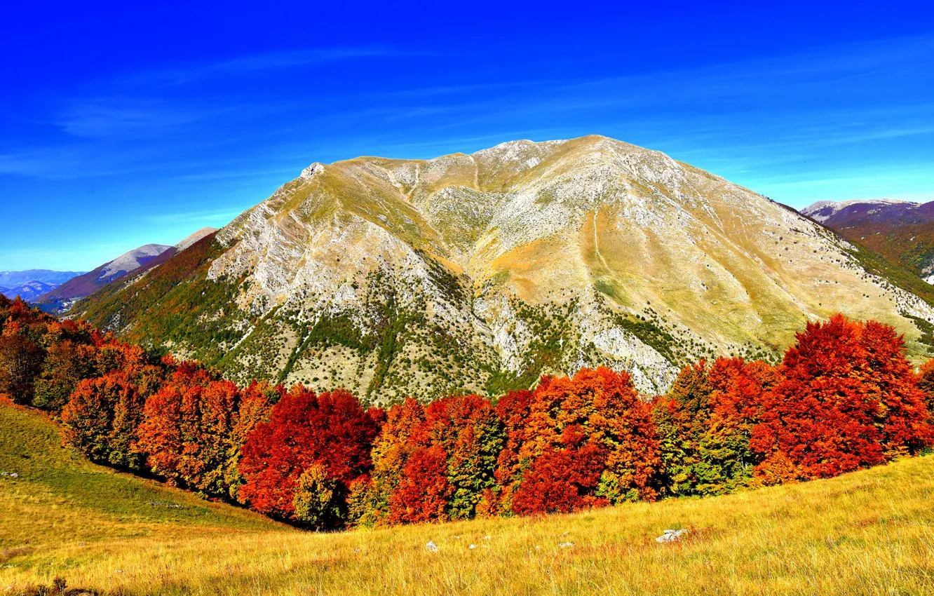 Фото обои осень, пейзаж, природа, гора, желтые деревья