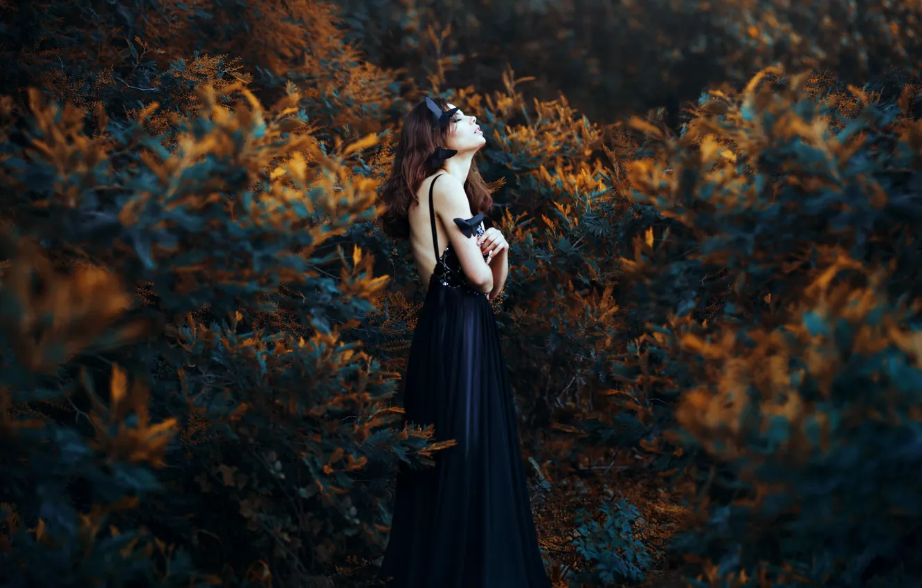 Фото обои Ronny Garcia, When my black soul leaves, Maria Jose Weigel