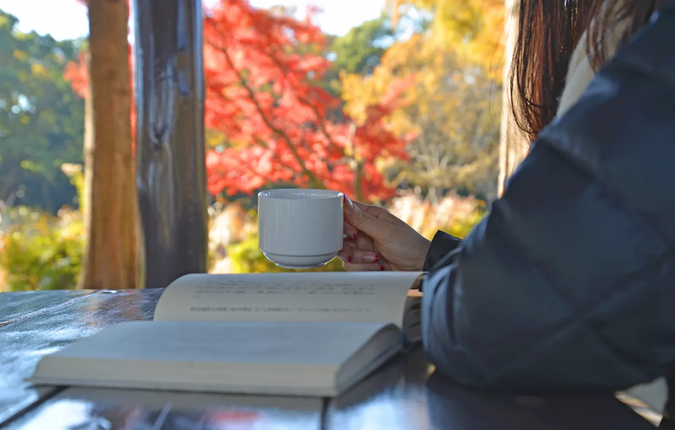 Фото обои чай, женщина, окно, чашка, книга, напиток, чтение