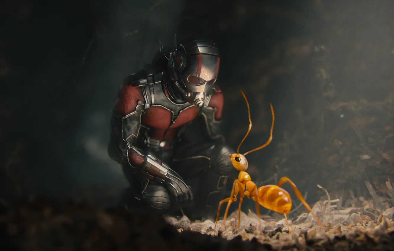 Фото обои муравей, костюм, шлем, супергерой, комикс, Марвел, Ant-man, Человек-муравей
