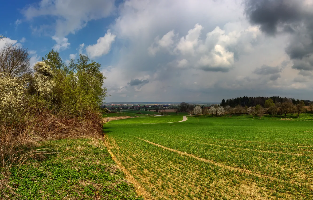 Фото обои дорога, небо, трава, облака, деревья, тучи, пасмурно, поля