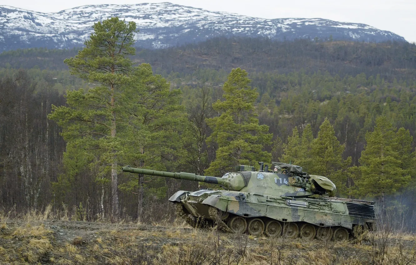 Фото обои лес, танк, leopard1
