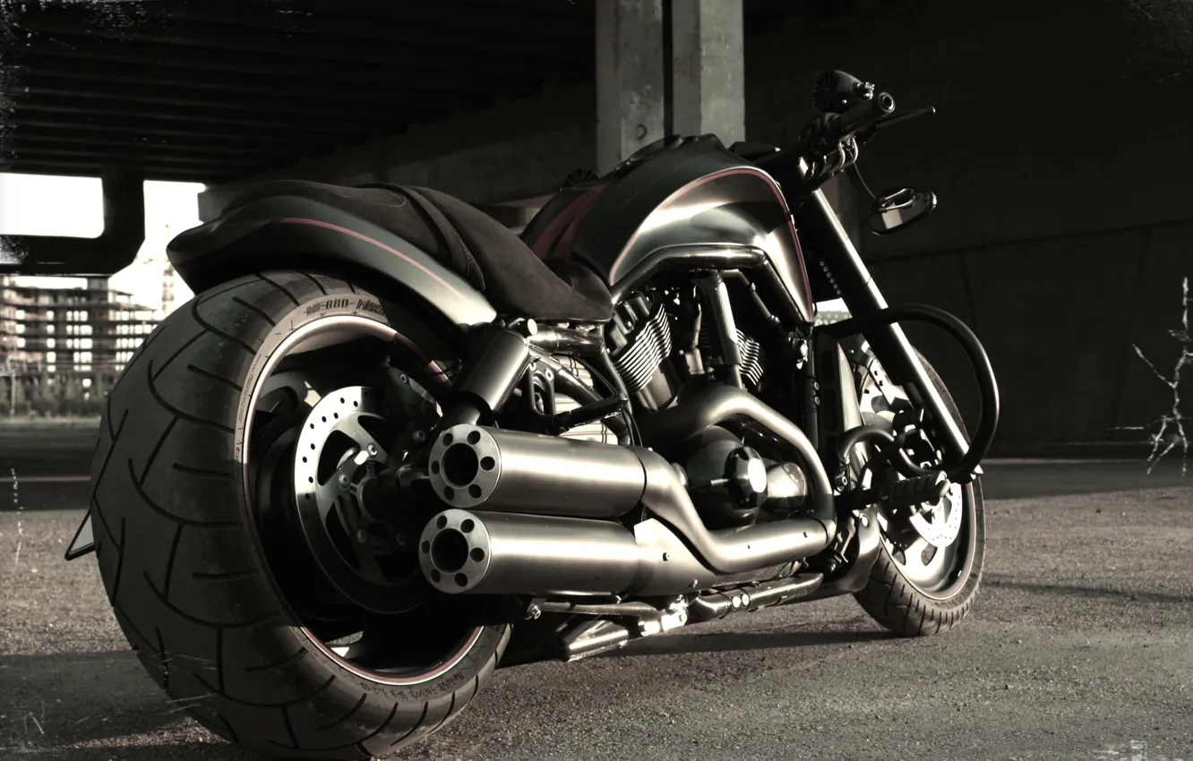 Фото обои Bike, Harley-Davidson, Custom