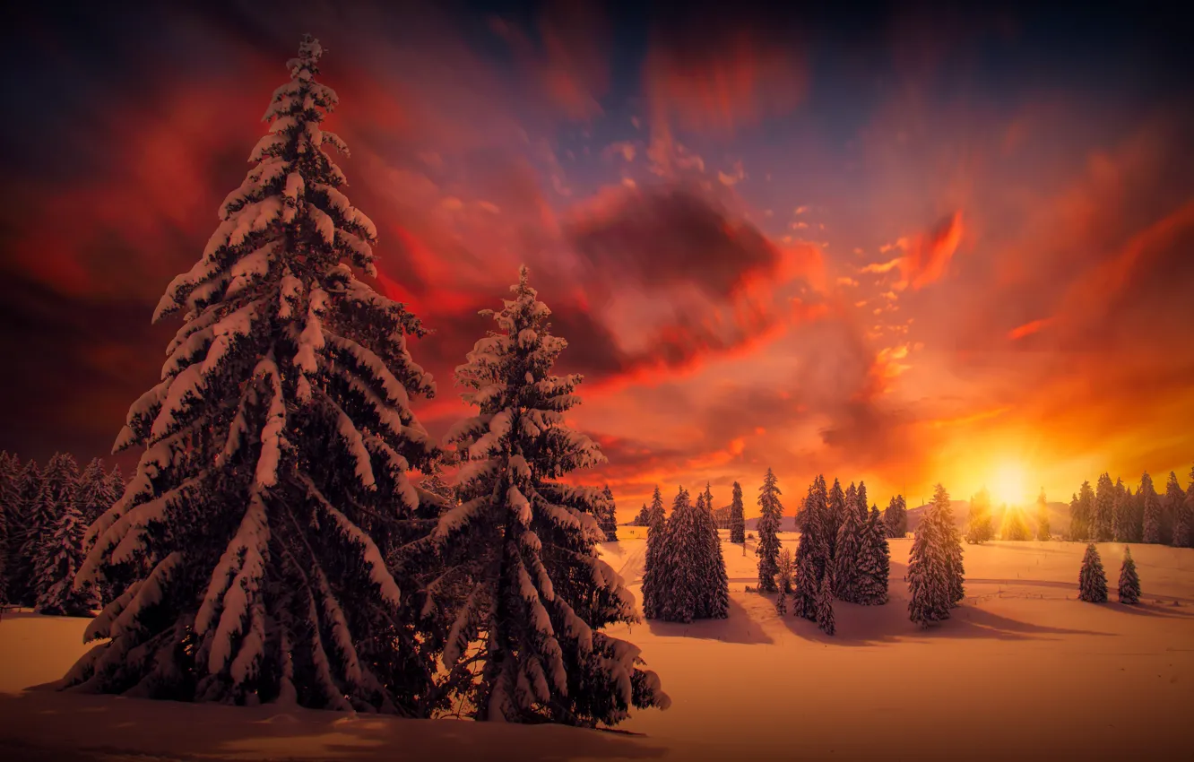 Фото обои зима, небо, снег, деревья, пейзаж, красота