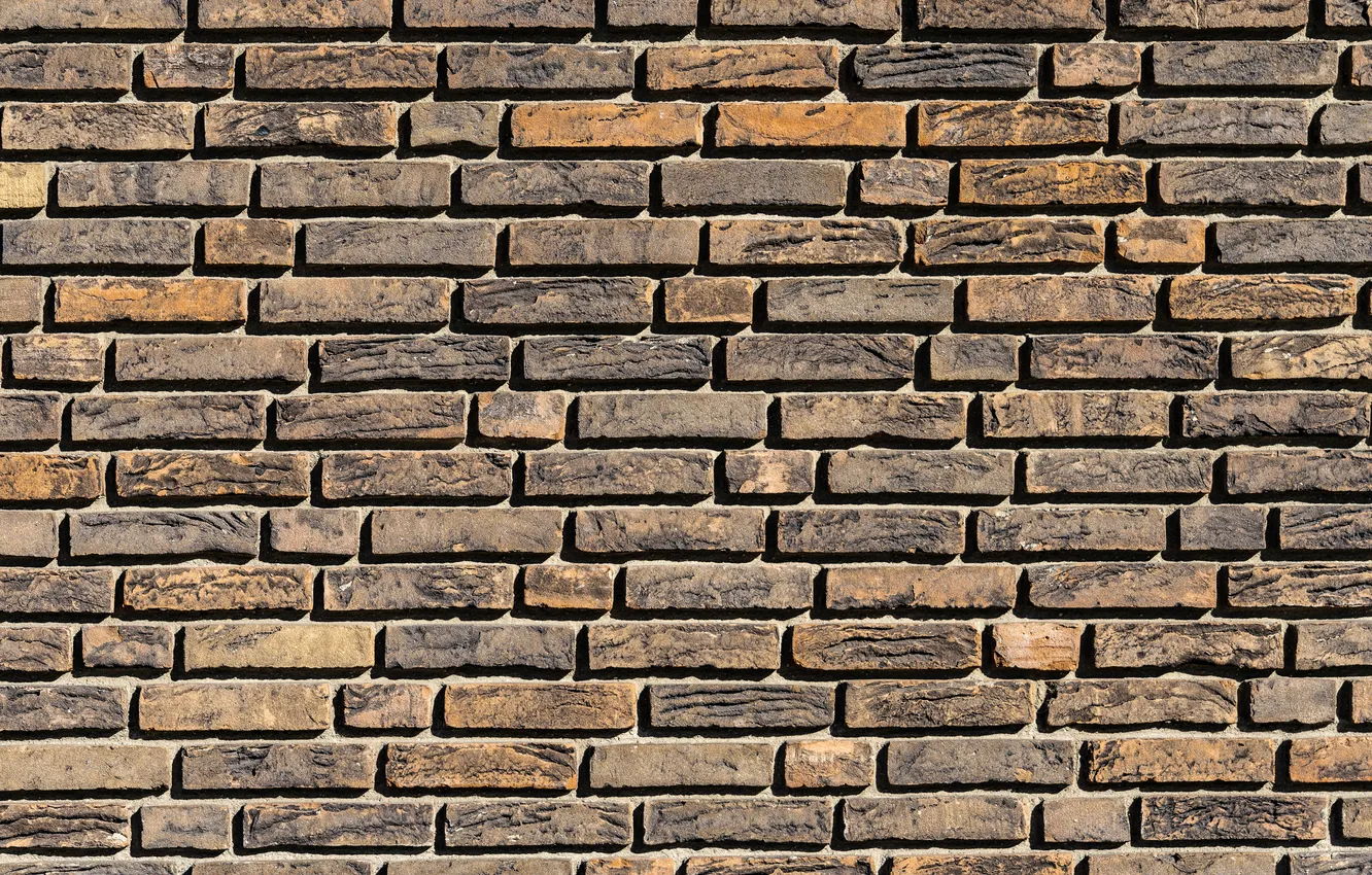 Фото обои wall, bricks, pattern