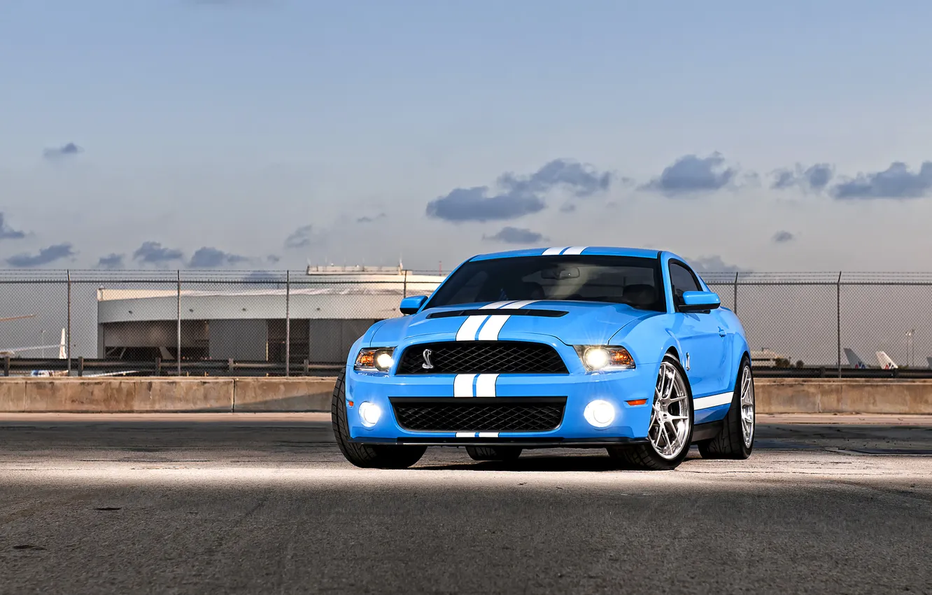 Фото обои авто, синий, фары, Shelby, GT500, мустанг, мускул-кар, ford