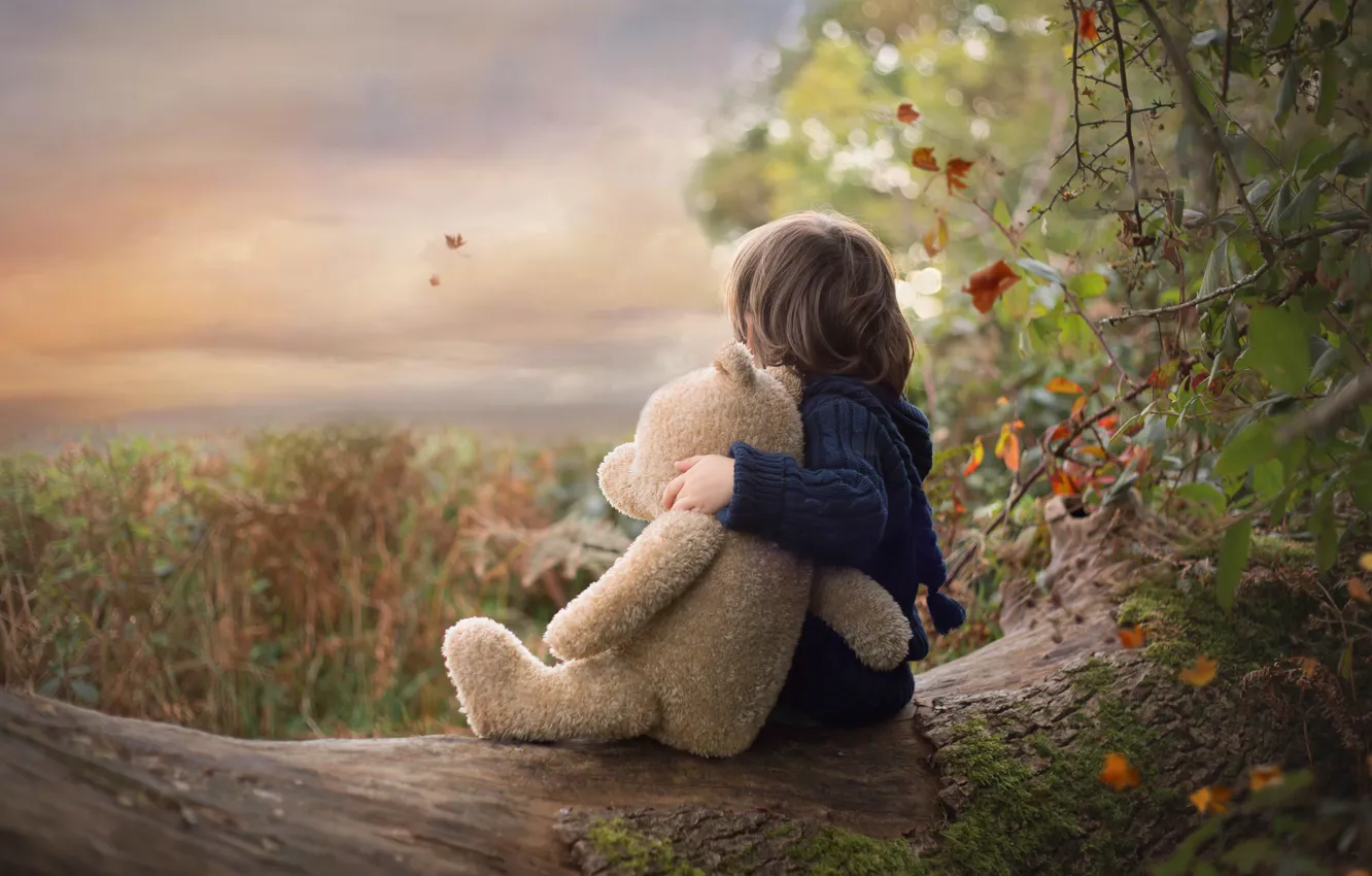 Фото обои осень, природа, игрушка, мальчик, медведь, бревно, ребёнок, плюшевый мишка