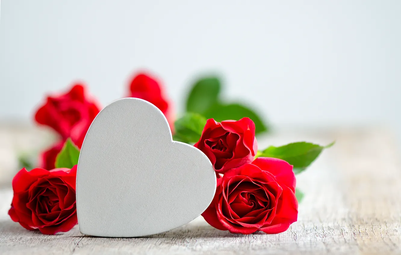 Фото обои сердце, розы, день Святого Валентина