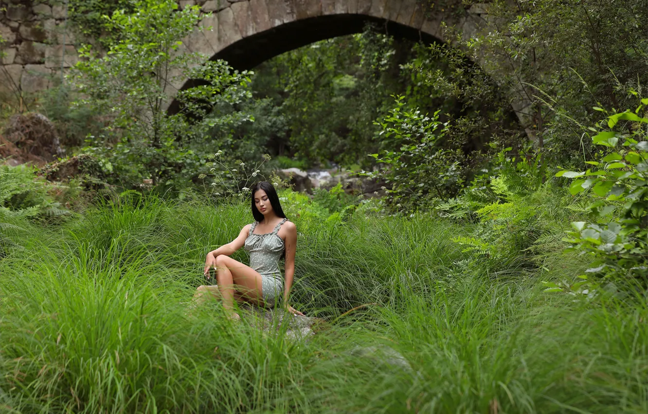 Фото обои grass, long hair, hot girl, nature, bridge, rocks, model, stones