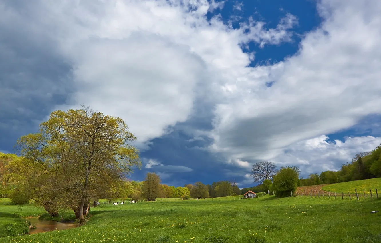 Фото обои дорога, поле, небо, облака, деревья, дом