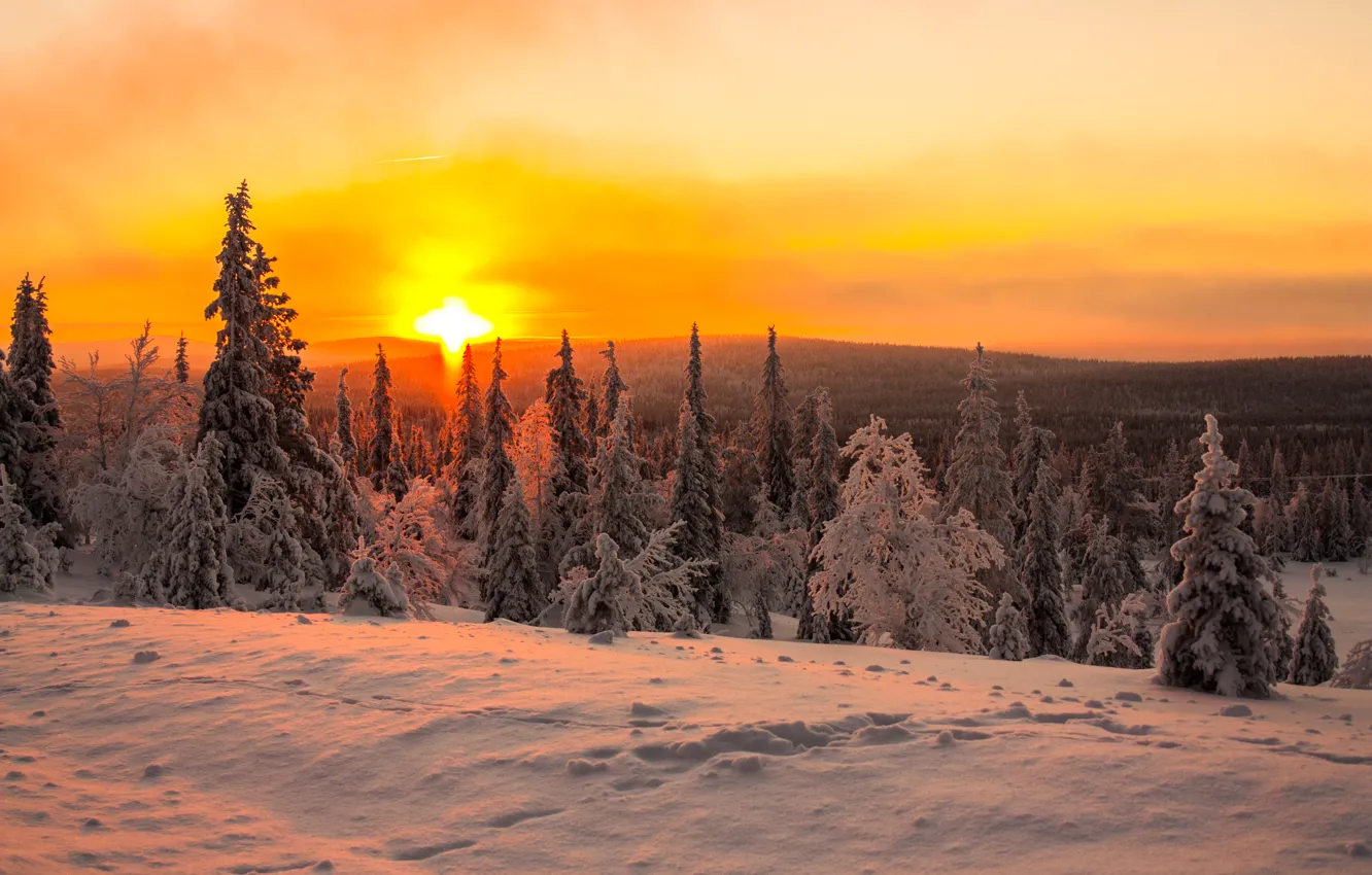 Фото обои зима, лес, солнце, снег, рассвет, сопки